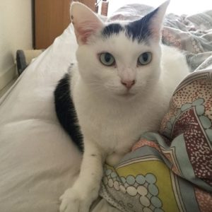 Max