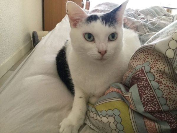Max