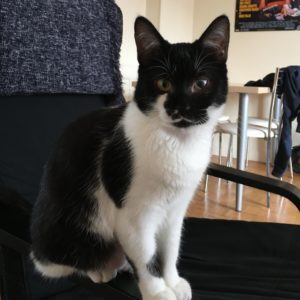 LUNA