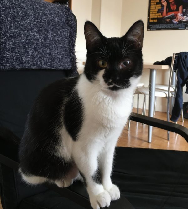 LUNA