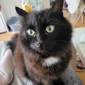 BAGHEERA