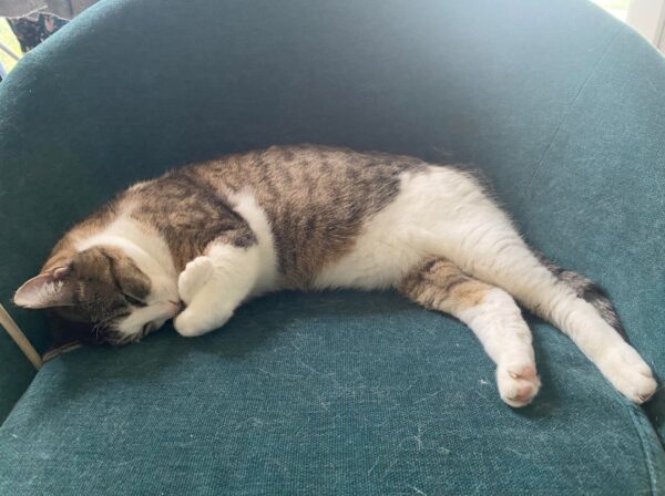MINETTE – Image 2
