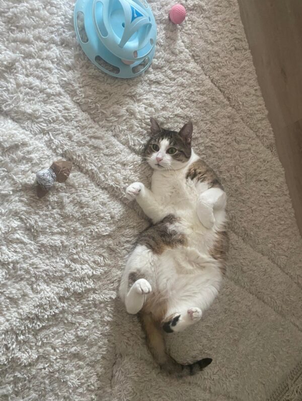MINETTE – Image 3
