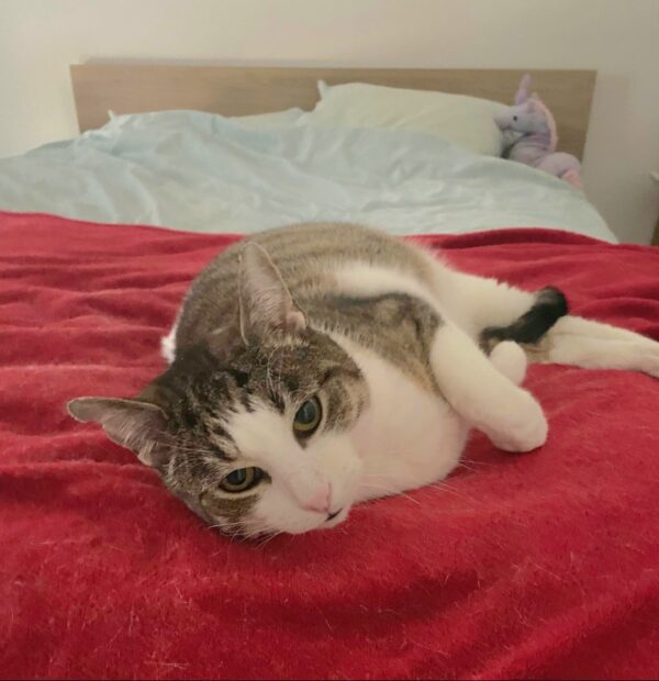 MINETTE – Image 4