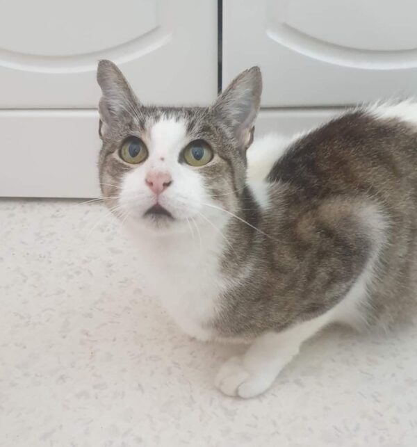 MINETTE – Image 7