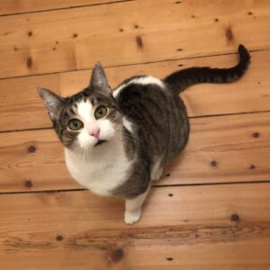 MINETTE