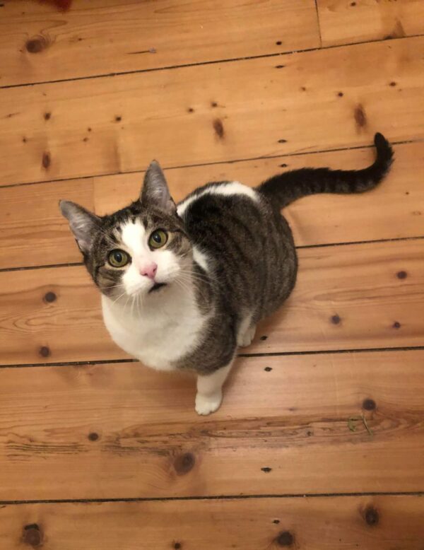 MINETTE