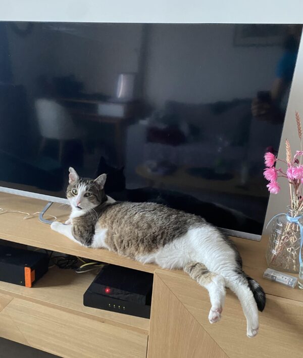 MINETTE – Image 6