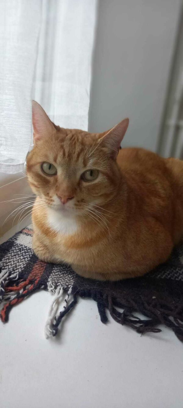 PHILIBERT