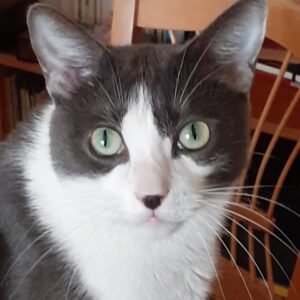 O'MALLEY