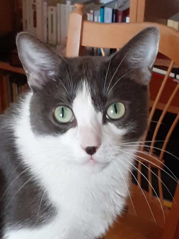 O'MALLEY