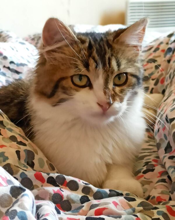 THENA