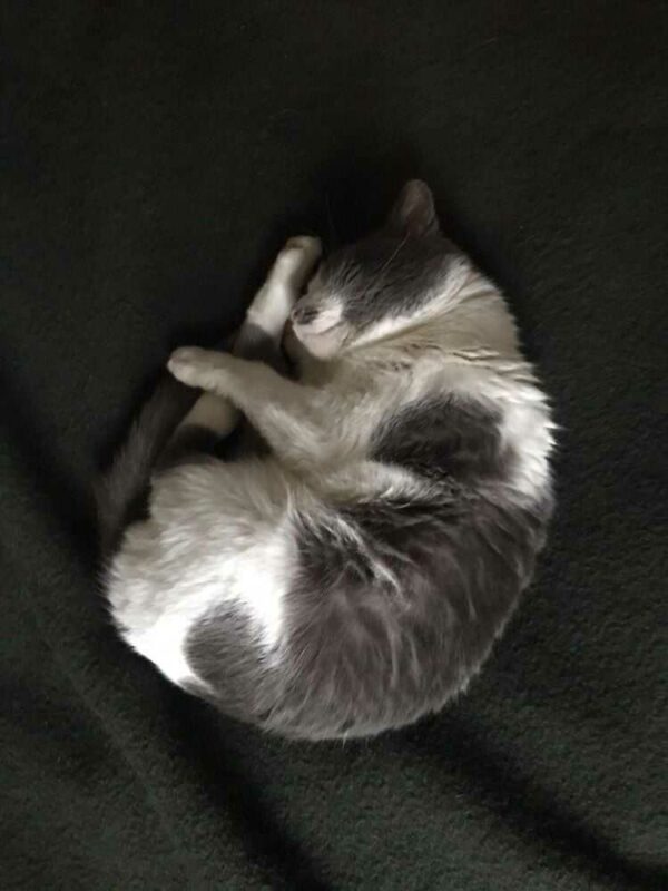 MEDITER dit MEDHI – Image 2