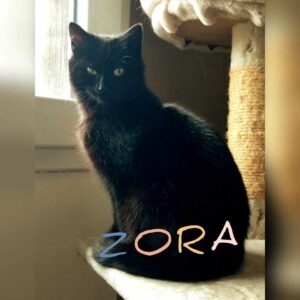 ZORA