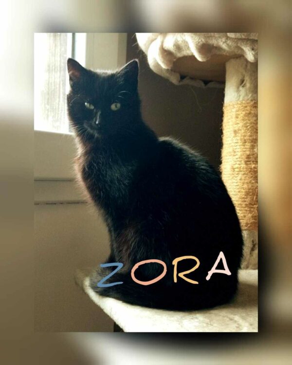 ZORA
