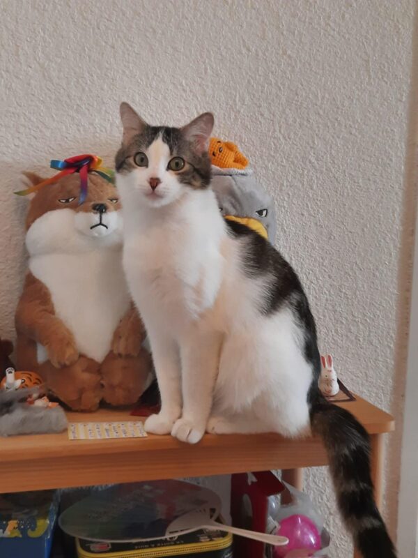 WALL-E